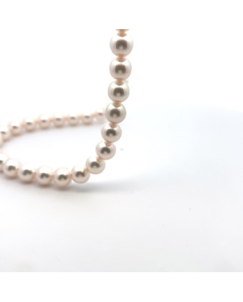 6mm+ fine  grade Akoya pearl, Japan