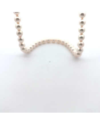 6mm+ fine  grade Akoya pearl, Japan