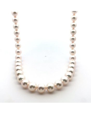 6mm+ fine  grade Akoya pearl, Japan