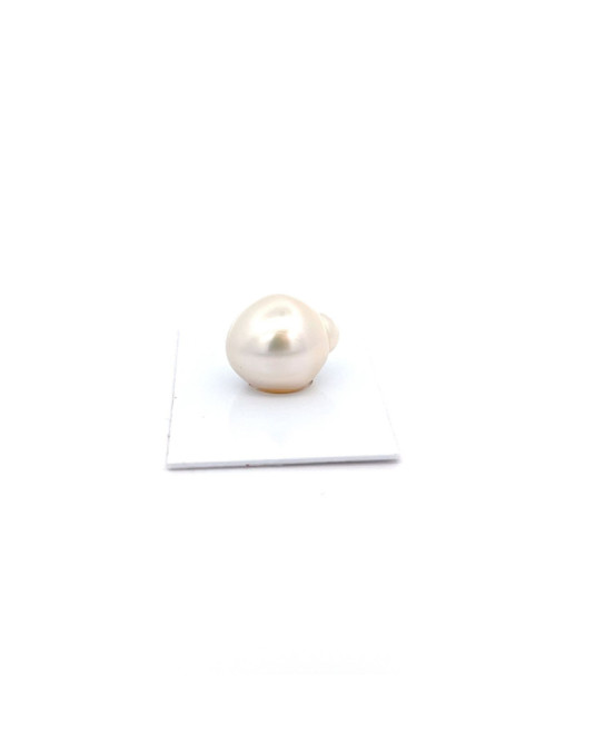 17.57x14.91mm South Sea pearl , origin Australia , jewel  grade