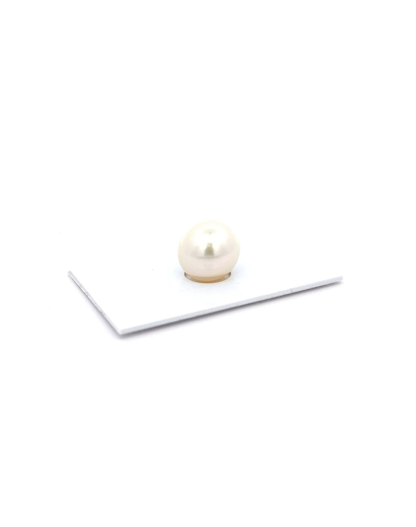 13.51x12.66mm South Sea pearl , origin Australia , gem  grade