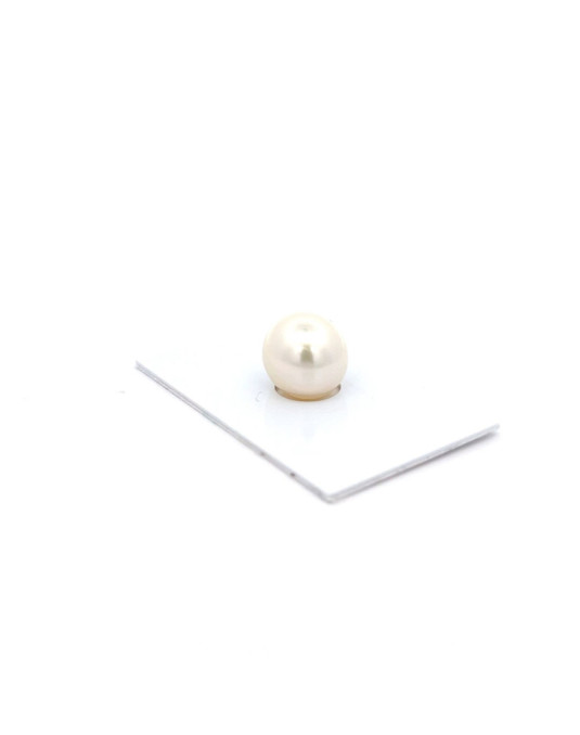 13.51x12.66mm South Sea pearl , origin Australia , gem  grade