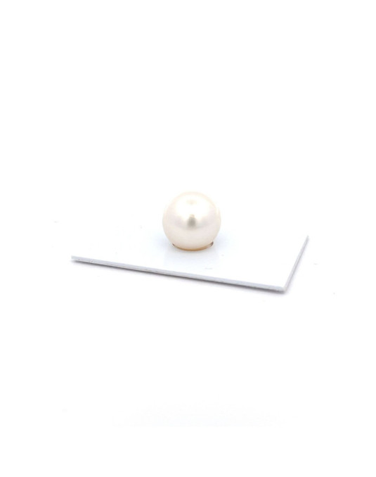 12mm+ jewel  grade South Sea pearl, Australia