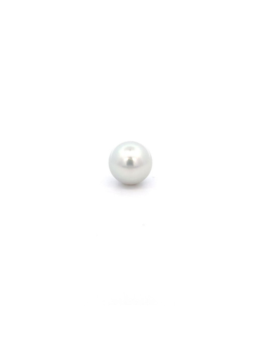 14.4x14.34mm South Sea pearl , origin Australia , jewel  grade