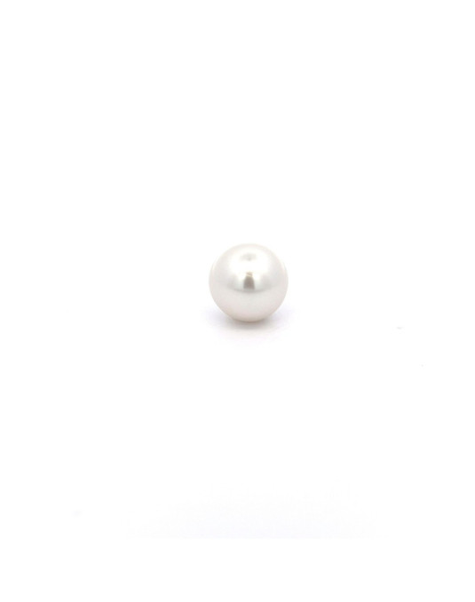 14.69x14.6mm South Sea pearl , origin Australia , jewel  grade