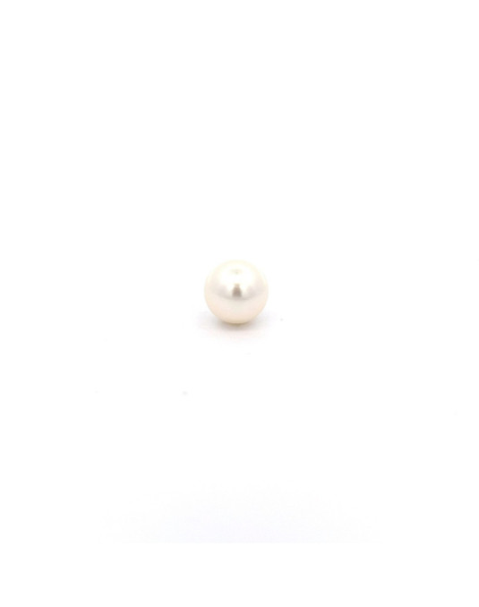 12.48xc11.87mm South Sea pearl , origin Australia , fine  grade