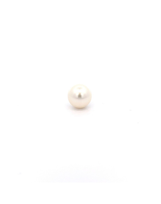 12.24x12.14mm South Sea pearl , origin Australia , fine  grade