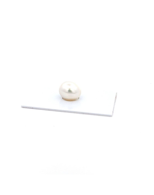 13.33x11.11mm South Sea pearl , origin Australia , fine  grade