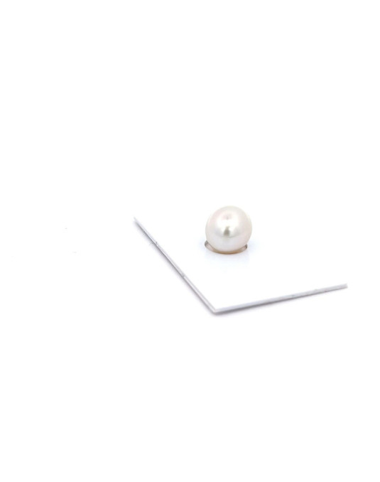 12.38x10.73mm South Sea pearl , origin Australia , fine  grade