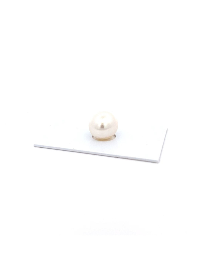 12.856x11.82mm South Sea pearl , origin Australia , jewel  grade