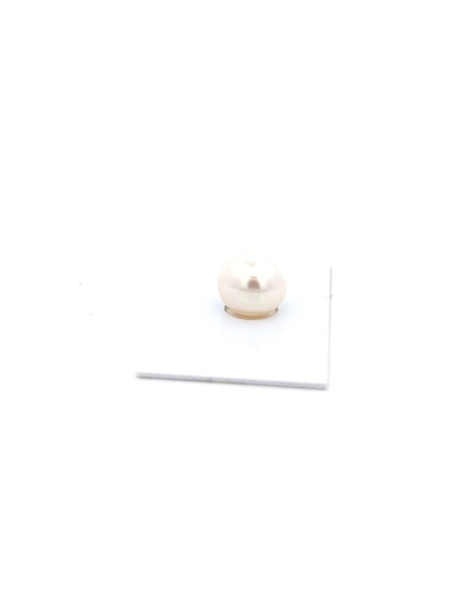 12.856x11.82mm South Sea pearl , origin Australia , jewel  grade
