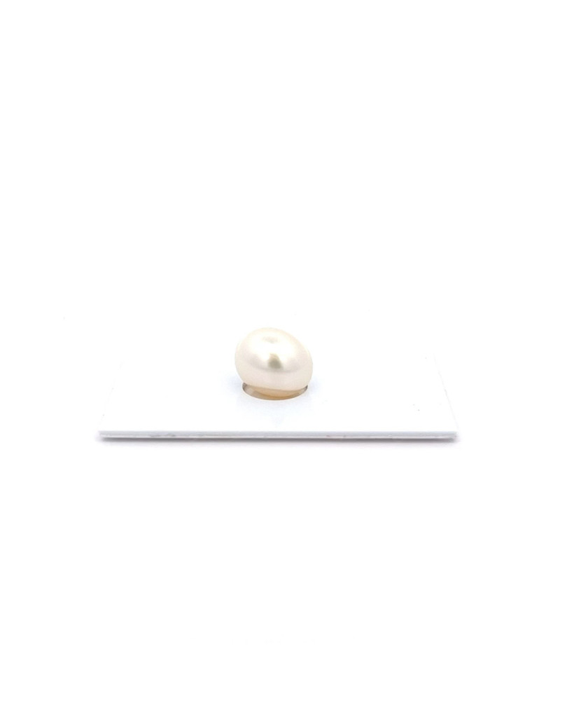 12.51x10.31mm South Sea pearl , origin Australia , fine  grade