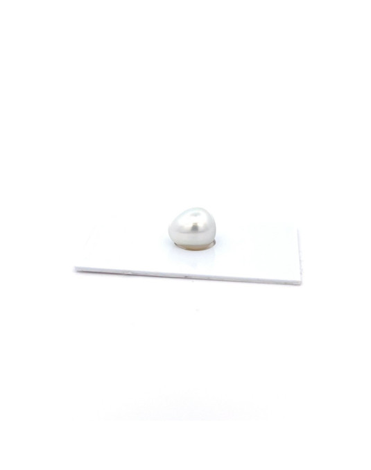 11.54x10.14mm South Sea pearl , origin Australia , fine  grade