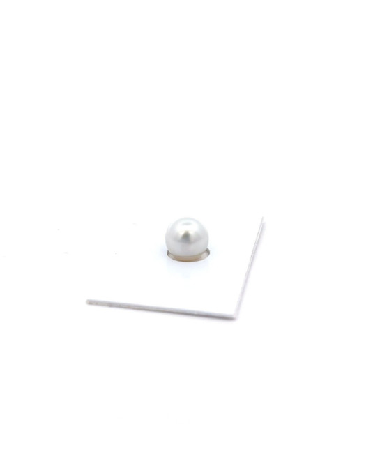 11.54x10.14mm South Sea pearl , origin Australia , fine  grade