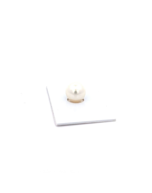 14.7x11.75mm South Sea pearl , origin Australia , fine  grade