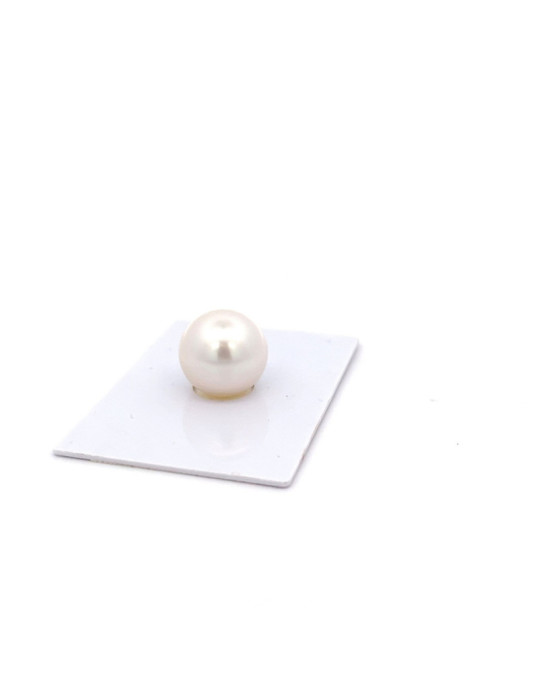 14.15mm South Sea pearl , origin Australia , fine  grade