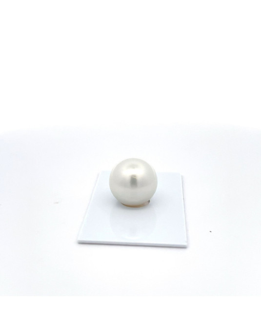 15mm+ fine  grade South Sea pearl, Australia