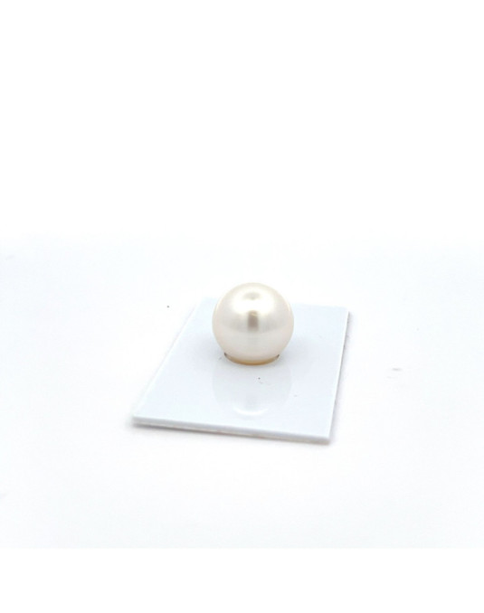 14.5mm South Sea pearl , origin Australia , fine  grade