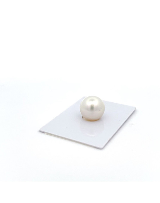 12mm+ gem  grade South Sea pearl, Australia