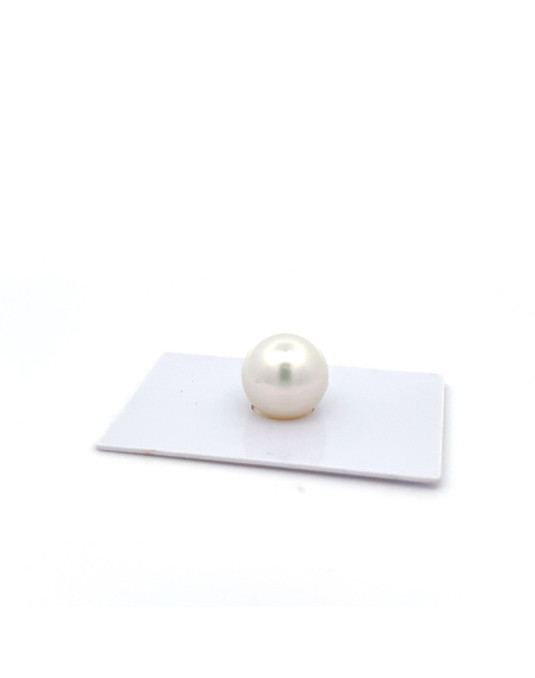 12mm+ gem  grade South Sea pearl, Australia