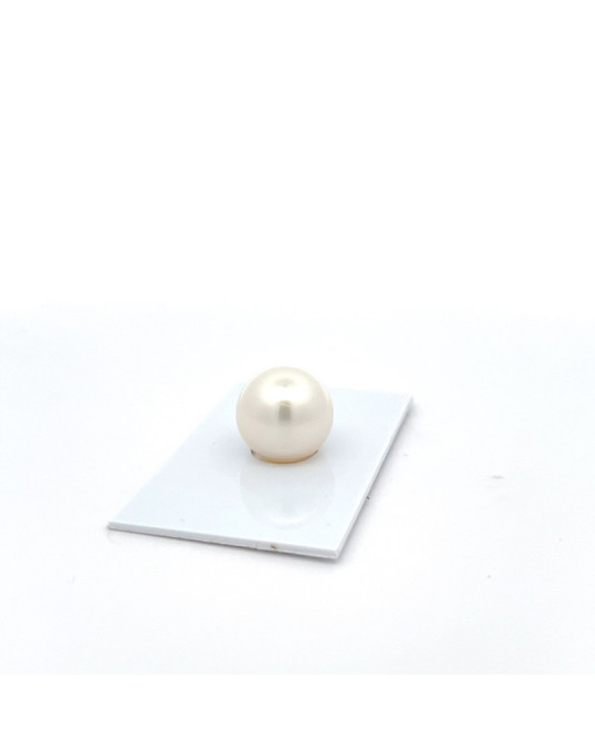 14.15mm South Sea pearl , origin Australia , fine  grade