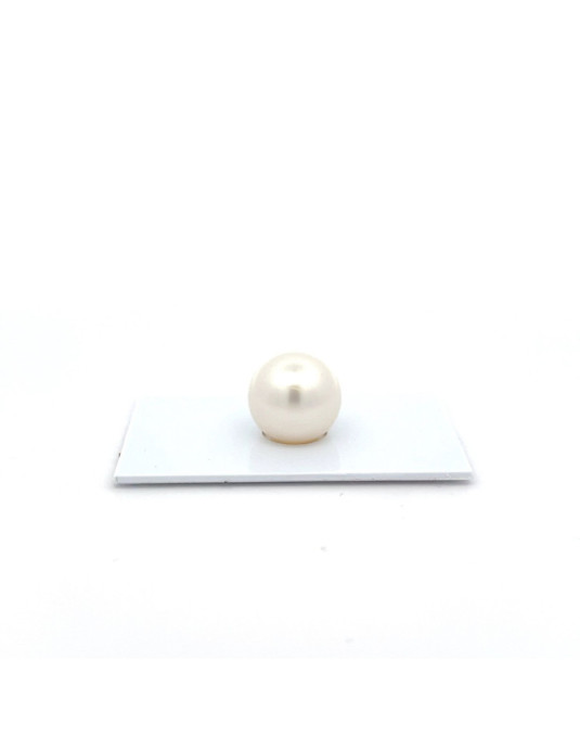 14.15mm South Sea pearl , origin Australia , fine  grade