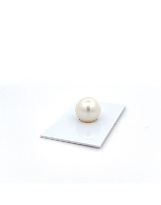 13.72mm South Sea pearl , origin Australia , fine  grade