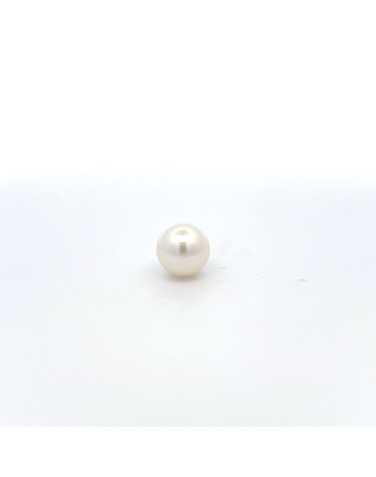 12mm+ gem  grade South Sea pearl, Australia