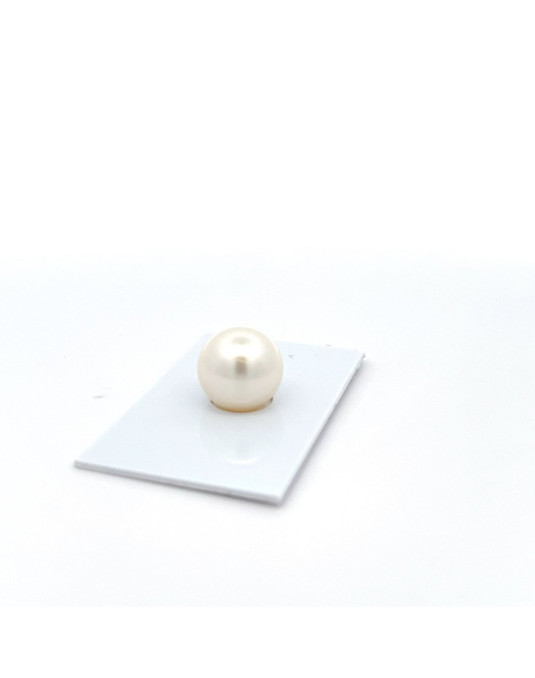 13.62mm South Sea pearl , origin Australia , fine  grade