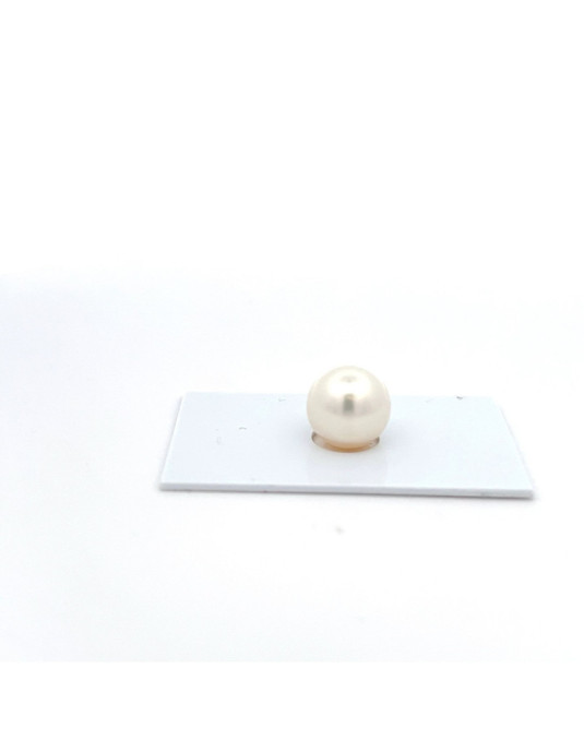 12.27mm South Sea pearl , origin Australia , gem  grade