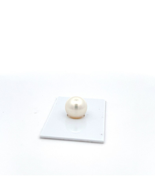 12mm+ gem  grade South Sea pearl, Australia