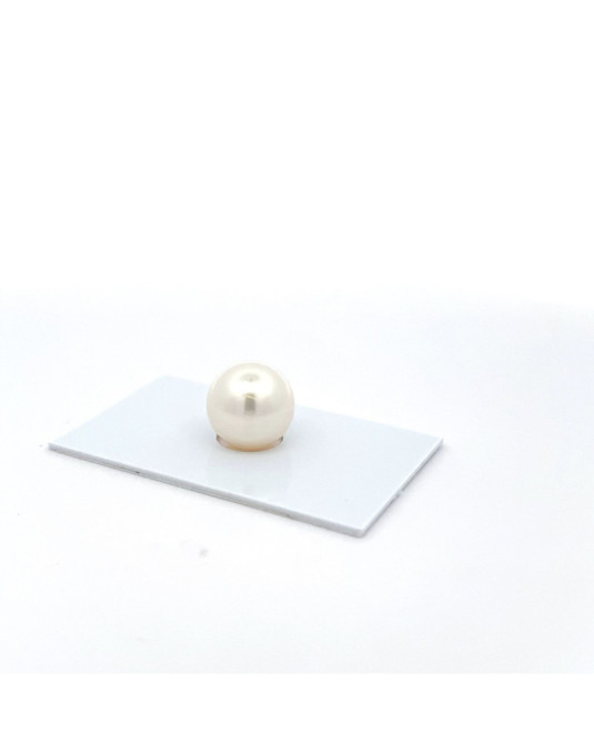 13mm South Sea pearl , origin Australia , fine  grade