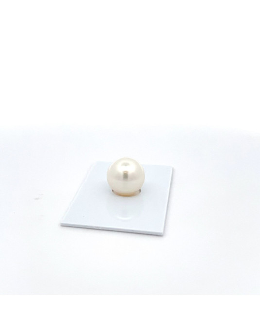 13mm South Sea pearl , origin Australia , fine  grade