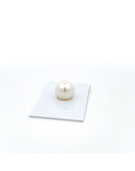 12mm+ fine  grade South Sea pearl, Australia