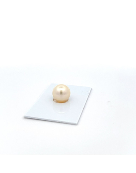 9mm+ fine  grade South Sea pearl, Australia