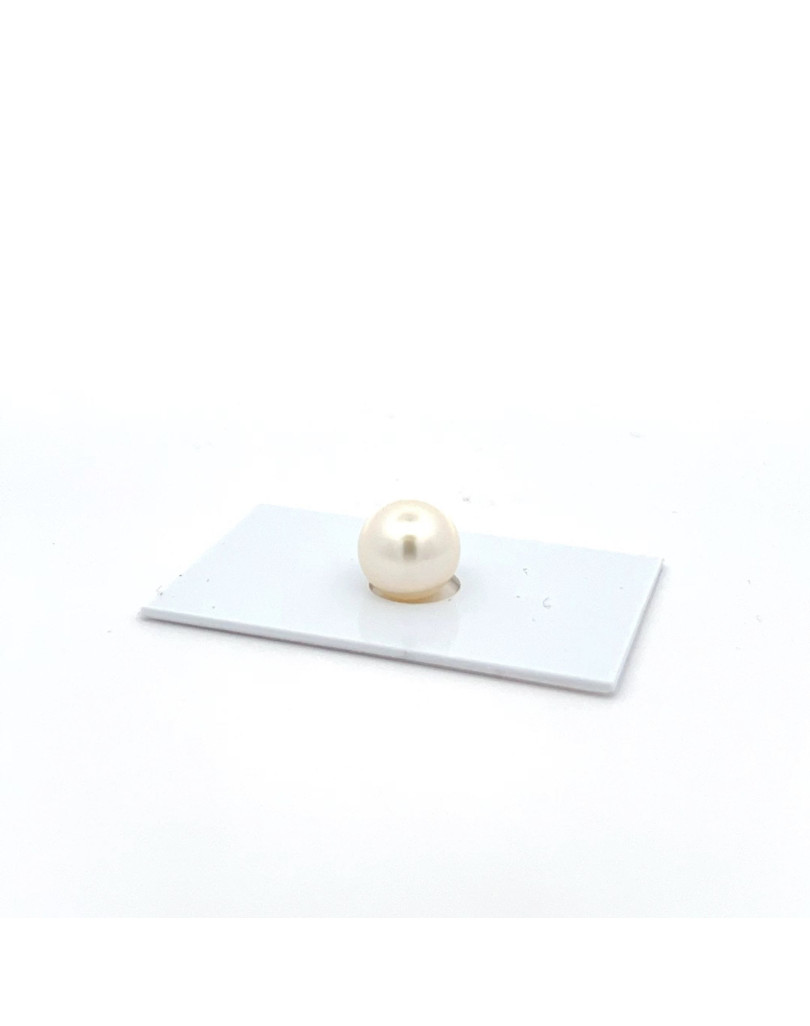 9mm+ gem  grade South Sea pearl, Australia
