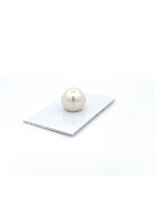 14.02mm South Sea pearl , origin Australia , jewel  grade