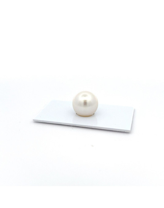 12mm+ jewel  grade South Sea pearl, Australia