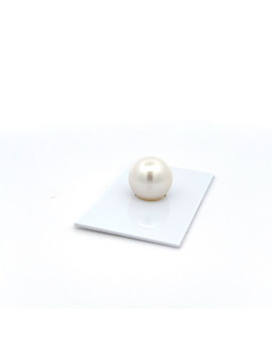 12mm+ jewel  grade South Sea pearl, Australia