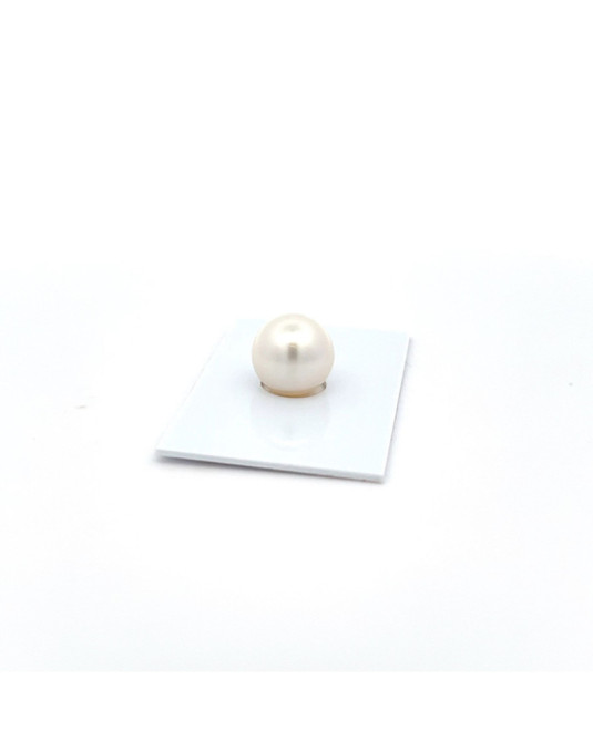 12mm+ fine  grade South Sea pearl, Australia