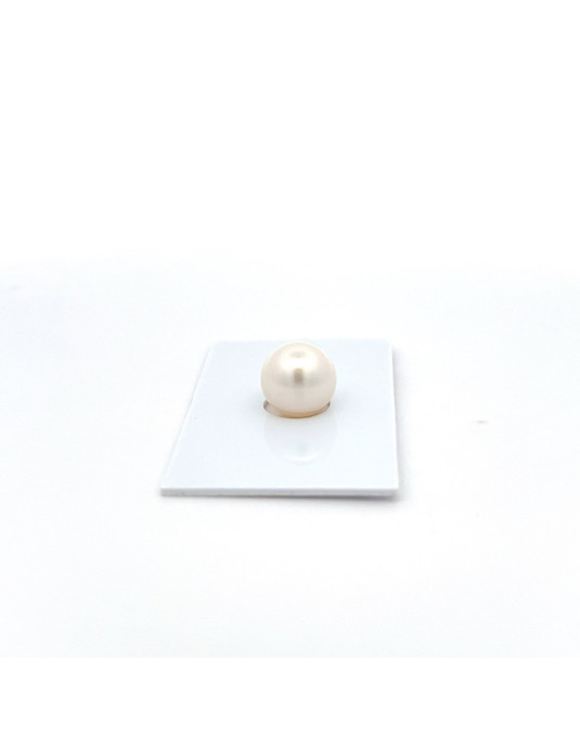 11.24mm South Sea pearl , origin Australia , fine  grade