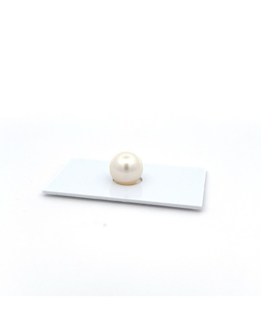 11.24mm South Sea pearl , origin Australia , fine  grade