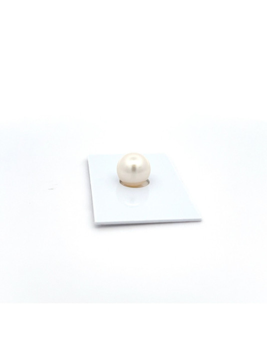 11.24mm South Sea pearl , origin Australia , fine  grade