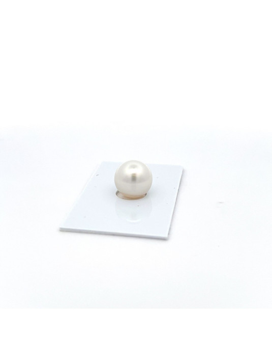 12mm+ fine  grade South Sea pearl, Australia