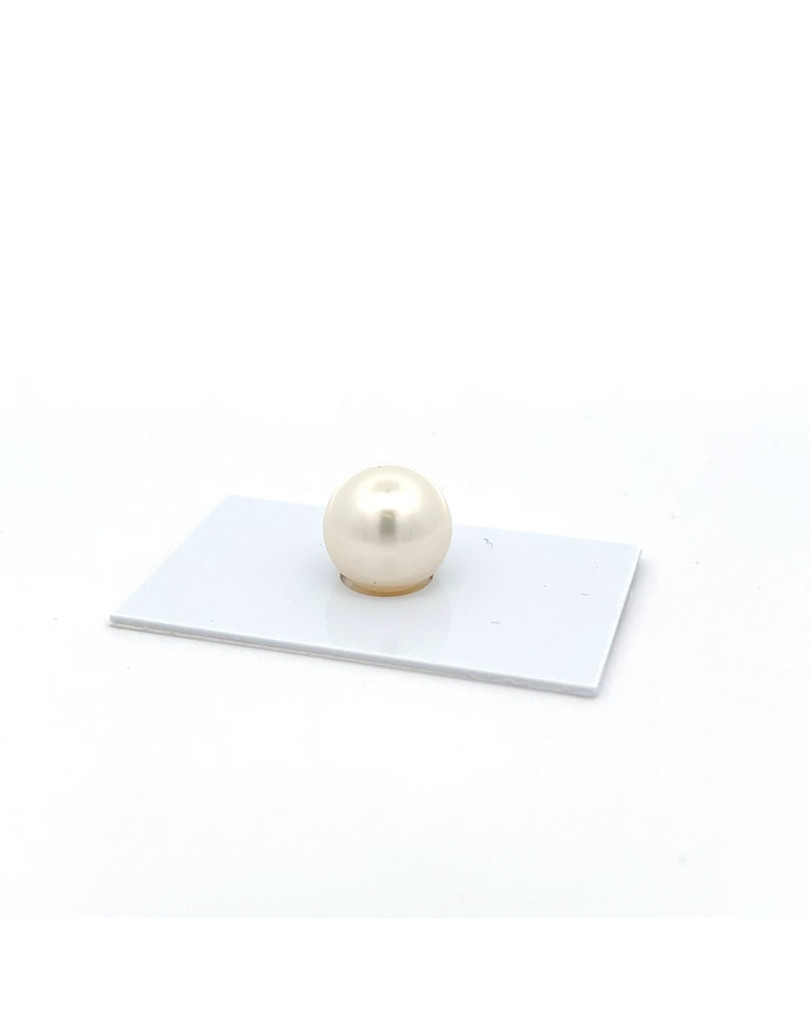 12mm+ jewel  grade South Sea pearl, Australia