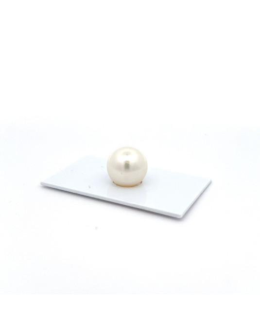 13.73mm South Sea pearl , origin Australia , jewel  grade