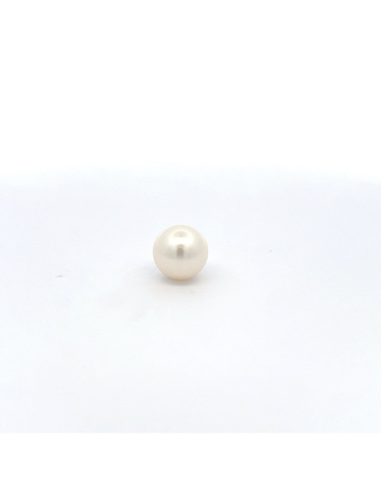 12mm+ jewel  grade South Sea pearl, Australia