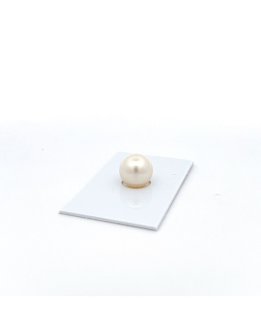 9mm+ fine  grade South Sea pearl, Australia