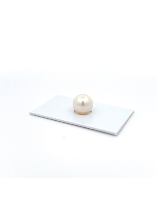 9mm+ fine  grade South Sea pearl, Australia