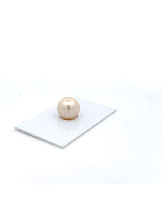 12.3mm South Sea pearl , origin Australia , jewel  grade